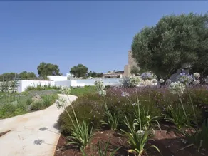 Masseria Pugliese - Image 4