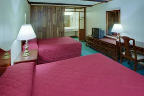 Vienna Wolf Trap Hotel - Image 5