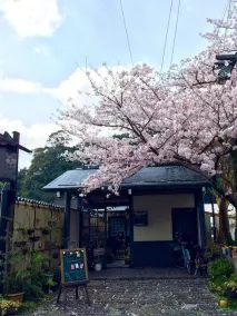 Yasuragi Guest House & Bar - Image 5