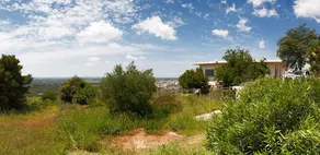 Dependance di Villa Agnese - Image 4
