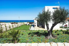 San Lorenzo - Lavanda - Image 4