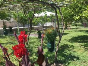 Green House Corfu - a Perfect Place to Unwind - Image 5