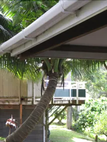 Hale Kukui Orchard & Resort - Image 5