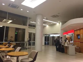 Ibis Lins - Image 2