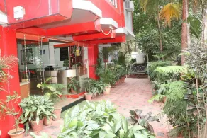 Amrapali - Image 5