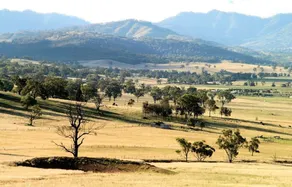 LeCamah Hill - Image 4