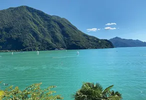 Water Nest - Image 2