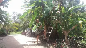 Serenity Retreats Belize -A Vegan Resort - Image 3