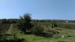 Agriturismo La Lenticchia - Image 5