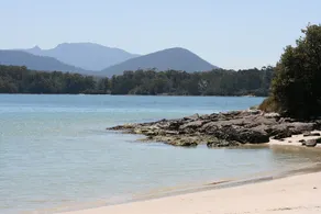 The Shackeau - Image 5