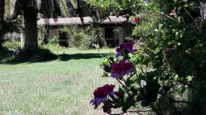 Agriturismo S'Anea - Image 3