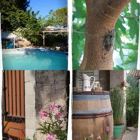 David Guesthouse - Image 3
