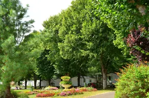Camping L'Europe - Image 3