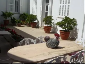 Gallo Colorao - Image 4