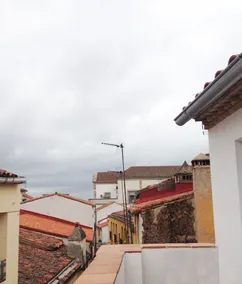 Casa Nidos - Image 5