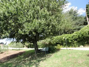 La Casa Fiorita - Image 3