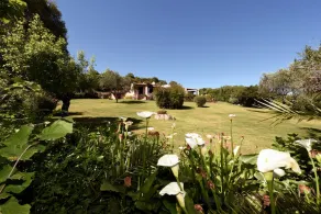 Villa Dianthos - Luxury 7 Bedroom in Porto Cervo - Image 4