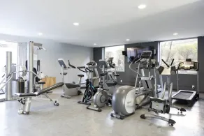 Spacious Apartment Near Hospitals Universities Malls and Park - Image 3