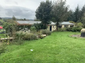 Ascension in the Fields - Image 3