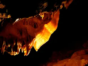 Aven Grotte Forestiere - Image 2