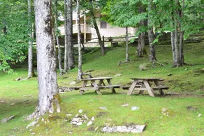 Cedar Village - Image 4