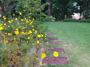 Eden Hill Resort Khao Yai - Image 4