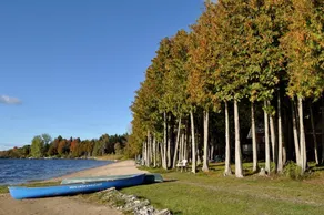 Cedars of Lake Eugenia - Cottage Resort - Image 4