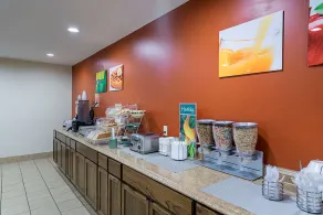 Quality Inn & Suites Skyways - Image 4