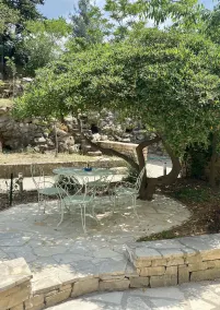 Aux Oiseaux De Provence - Image 5