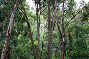 Tangenong Cottages - Image 5