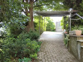 La Rosa del Lago - Image 4