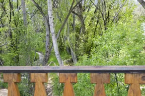El Torreon - Exclusive Luxury Home, Nestled Next to Water and Trees - Image 3