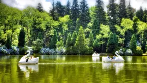 Recanto da Primavera - Image 3
