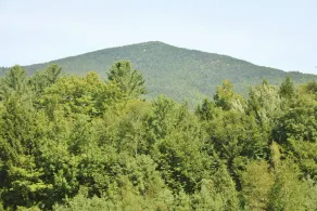Mountain View Resort - Image 4