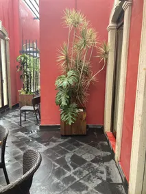 Hotel Constitucion - Image 5
