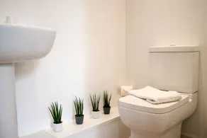 The Alexander - Image 3