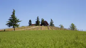 La Mondianese - Image 5