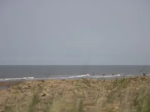 Eastbreeze - Image 2