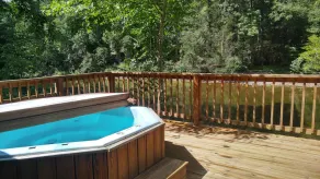 Cheat River Lodge and Cabins - Image 3