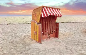 Strandhafer - Image 4
