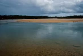 Ngaalgan - Image 4