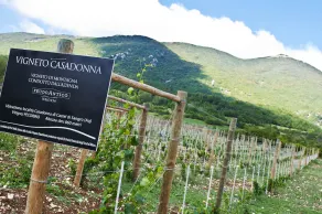 Casadonna Reale - Image 4