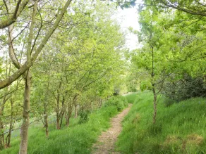 Rowan Bank - Image 5