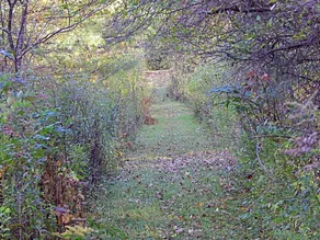 Tentrr - Hidden Brook Farm - Image 3