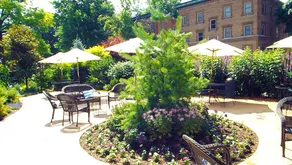Higher Ground Hotel - Image 4