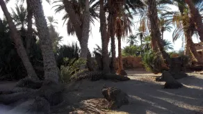Kasbah Aladdin - Image 5