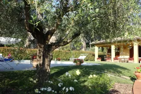 Villa Pali - Image 5