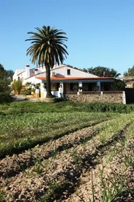 Casa Rural La Zafrilla - Image 3