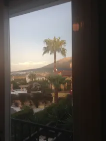 Palms And Lights - Image 3
