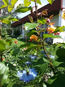 Les Jardins du Forez - Image 2